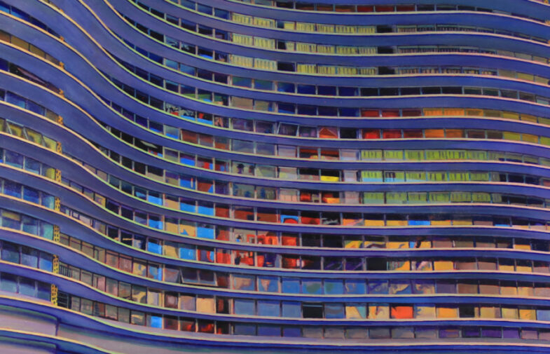 'Order and Progress' (detail) 2019